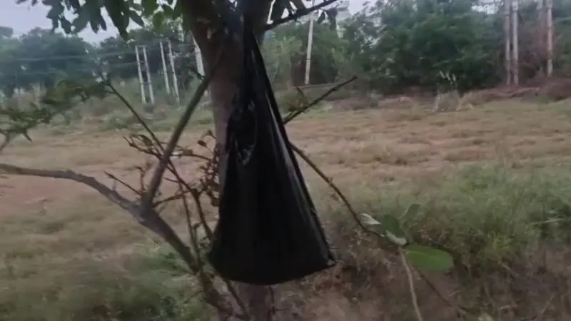 पेड़ पर टंगी काली थैली में मिला नवजात, क्या है पूरा मामला पेड़ पर टंगी काली थैली में मिला नवजात, क्या है पूरा मामला