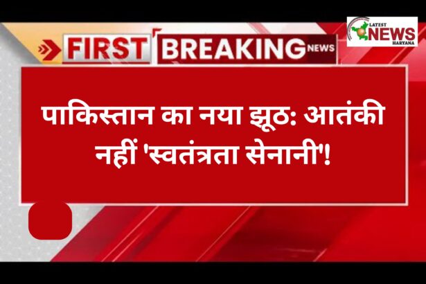 पाकिस्तान का नया झूठ आतंकी नहीं 'स्वतंत्रता सेनानी'!