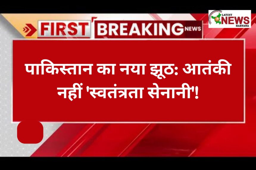 पाकिस्तान का नया झूठ आतंकी नहीं 'स्वतंत्रता सेनानी'!