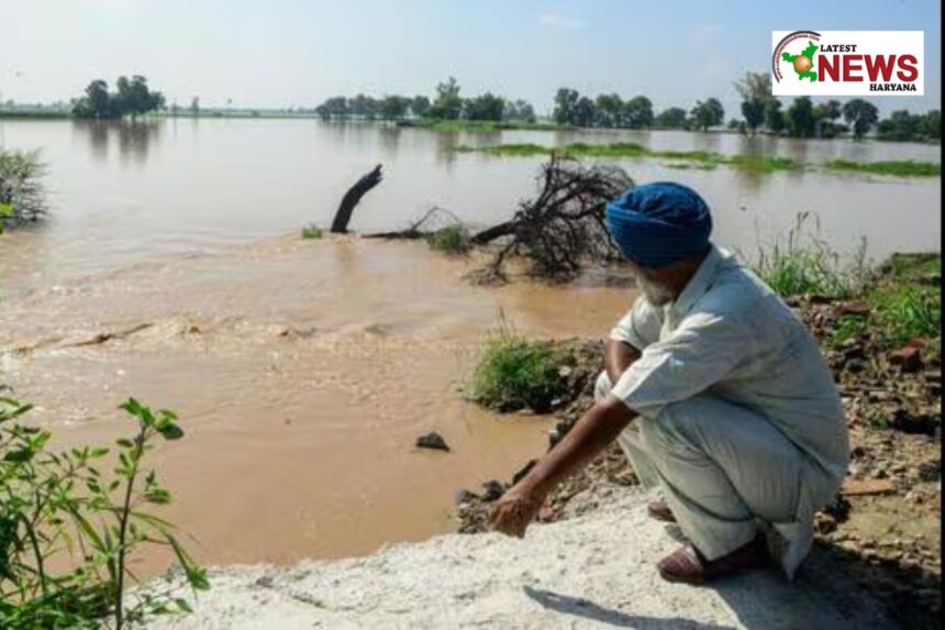punjab-jammu-flood-disaster-relief-updates